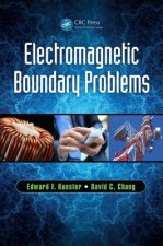 Electromagnetic Boundary Problems