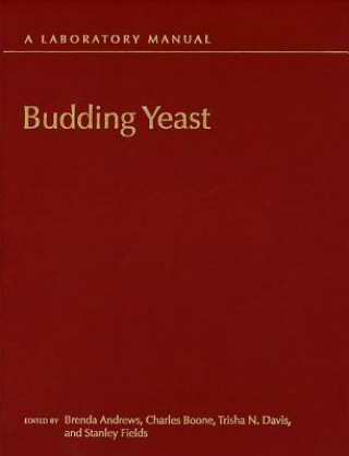Budding Yeast