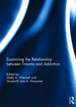 Examining the Relationship between Trauma and Addiction