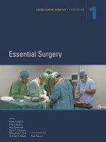 Disease Control Priorities (Volume 1)