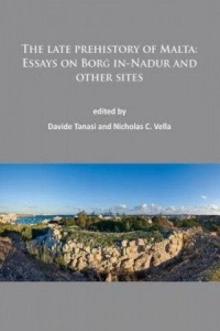 late prehistory of Malta: Essays on Borg in-Nadur and other sites
