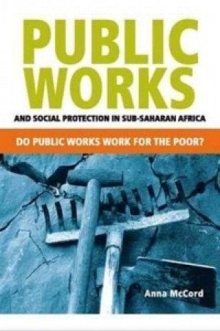 Public works and social protection in Sub-Saharan Africa