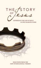 Story of Jesus, NIV