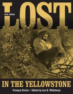 Lost in the Yellowstone