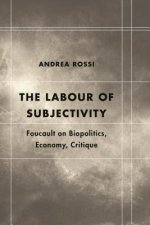 Labour of Subjectivity