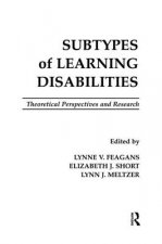 Subtypes of Learning Disabilities