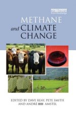 Methane and Climate Change