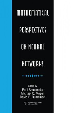 Mathematical Perspectives on Neural Networks