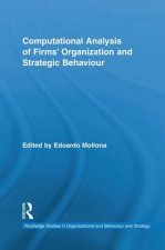 Computational Analysis of Firms' Organization and Strategic Behaviour