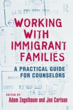 Working With Immigrant Families