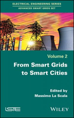 From Smart Grids to Smart Cities: New Challenges i n Optimizing Energy Grids