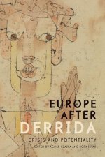 Europe after Derrida