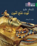 Discovering Tutankhamun's Tomb