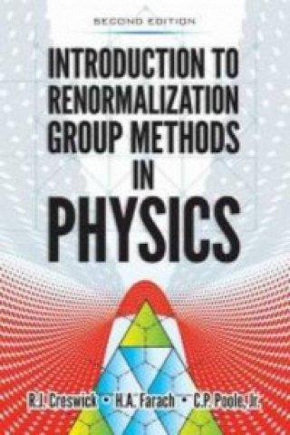 Introduction to Renormalization Group Methods in Physics