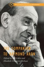 Companion to Raymond Aron