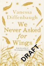 We Never Asked for Wings