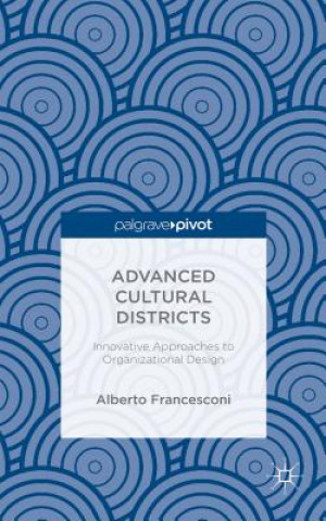 Advanced Cultural Districts