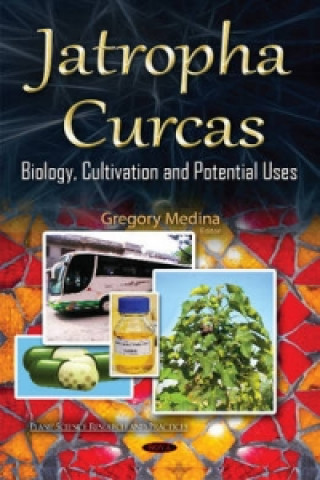 Jatropha Curcas