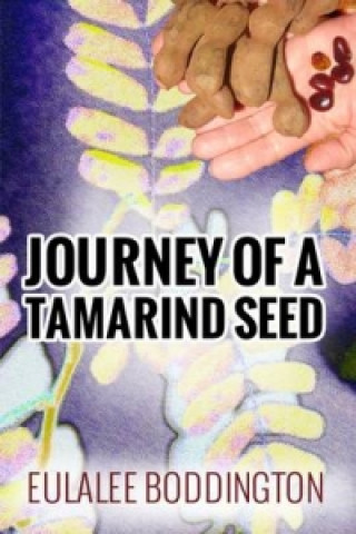Journey of a Tamarind Seed