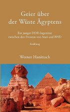 Geier uber der Wuste AEgyptens