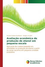 Avaliacao economica de producao de etanol em pequena escala