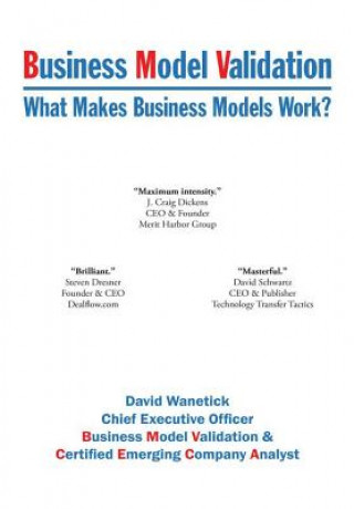 Business Model Validation