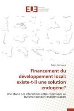 Financement Du Developpement Local