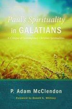 Paul's Spirituality in Galatians
