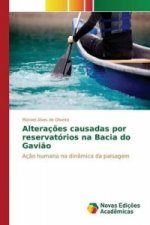 Alteracoes causadas por reservatorios na Bacia do Gaviao