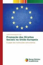 Promocao dos Direitos Sociais na Uniao Europeia