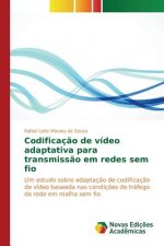 Codificacao de video adaptativa para transmissao em redes sem fio