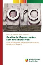 Gestao de Organizacoes sem fins lucrativos