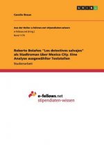 Roberto Bolanos Los detectives salvajes als Stadtroman uber Mexico City. Eine Analyse ausgewahlter Textstellen