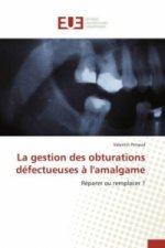 La Gestion Des Obturations Defectueuses A l'Amalgame