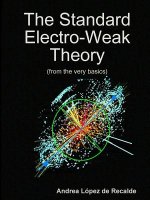 Standard Electro-Weak Theory