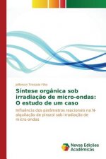 Sintese organica sob irradiacao de micro-ondas