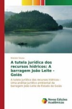 tutela juridica dos recursos hidricos