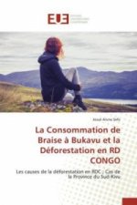 Consommation de Braise A Bukavu Et La Deforestation En Rd Congo