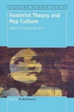 Feminist Theory and Pop Culture