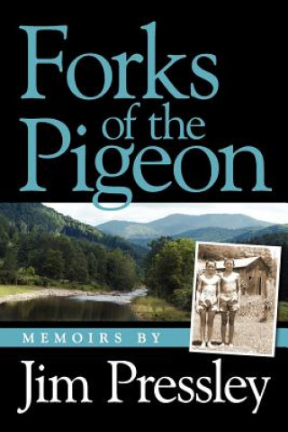 Forks of the Pigeon