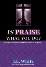 Is Praise What You Do?
