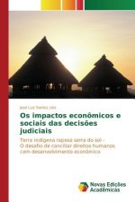 Os impactos economicos e sociais das decisoes judiciais