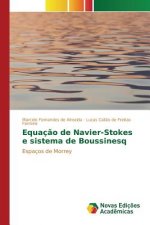 Equacao de Navier-Stokes e sistema de Boussinesq