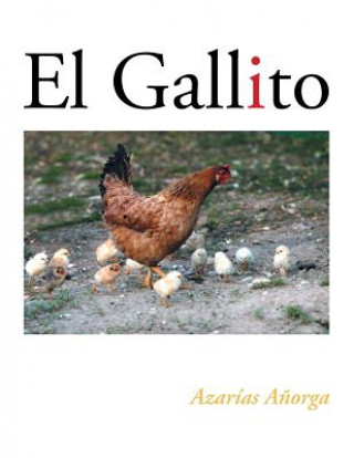 Gallito