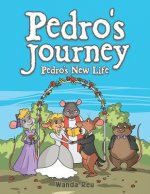 Pedro's Journey