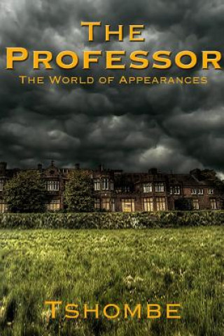 Professor