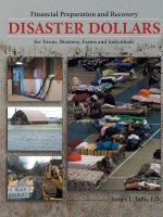Disaster Dollars