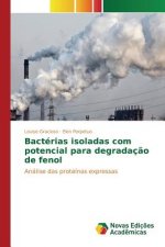 Bacterias isoladas com potencial para degradacao de fenol