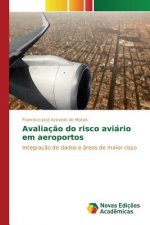 Avaliacao do risco aviario em aeroportos