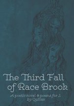 Third Fall of Race Brook